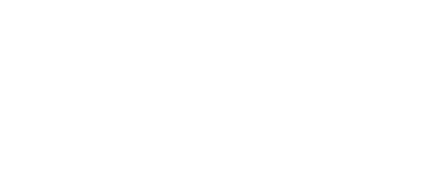 Hashloom Travel Partner LLP